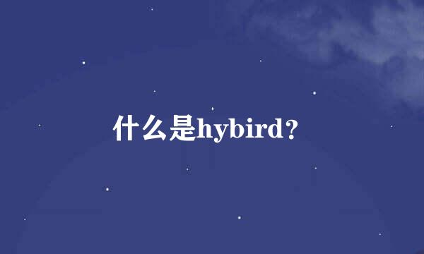 什么是hybird？