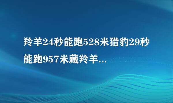 羚羊24秒能跑528米猎豹29秒能跑957米藏羚羊和猎豹谁的速度快一些快多少