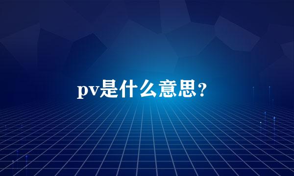 pv是什么意思？