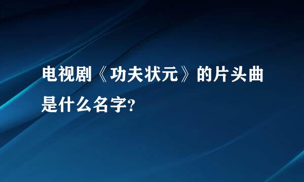 电视剧《功夫状元》的片头曲是什么名字？