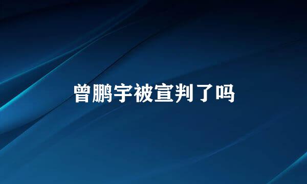 曾鹏宇被宣判了吗