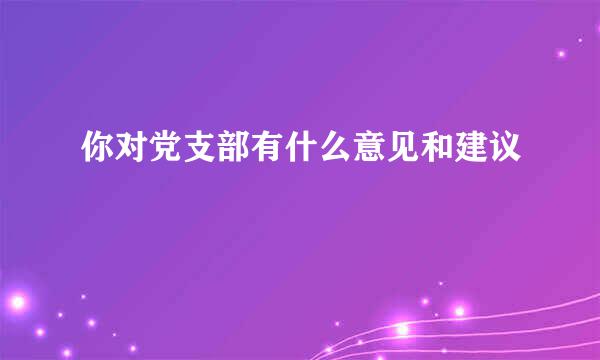 你对党支部有什么意见和建议