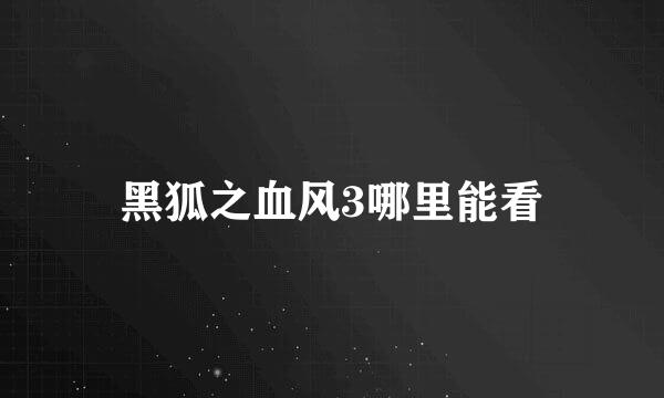 黑狐之血风3哪里能看