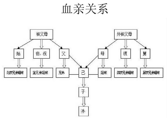 血缘关系是什么意思?