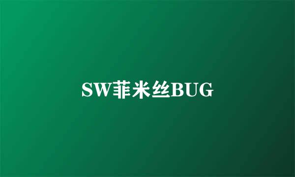 SW菲米丝BUG