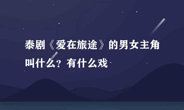 泰剧《爱在旅途》的男女主角叫什么？有什么戏