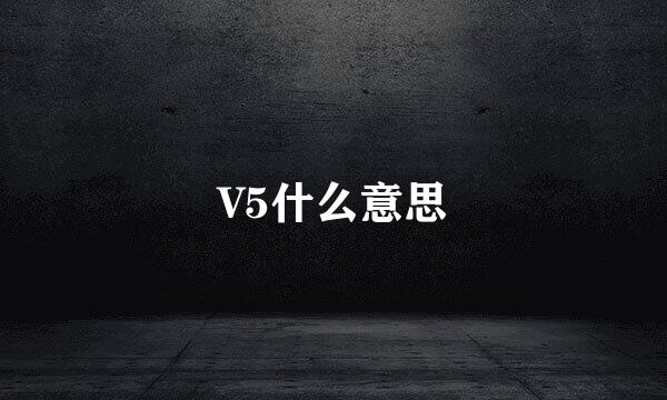 V5什么意思