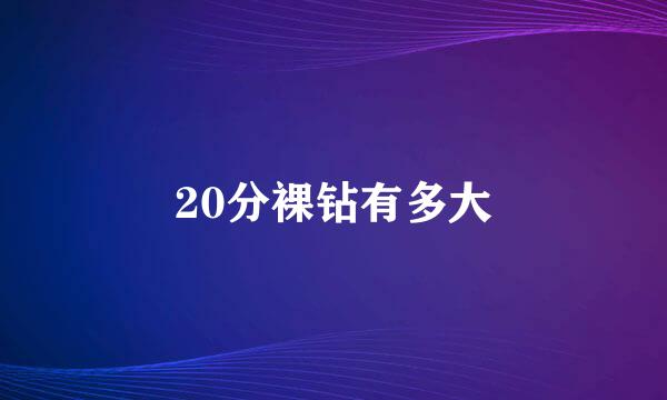 20分裸钻有多大