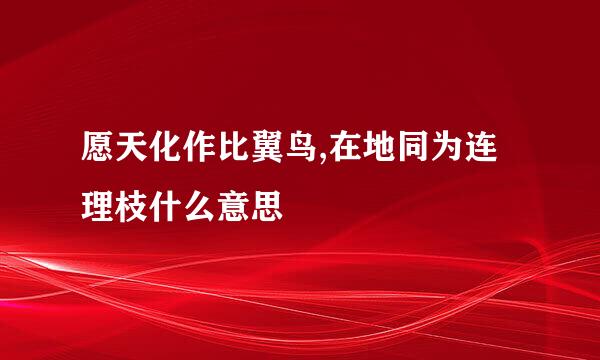 愿天化作比翼鸟,在地同为连理枝什么意思