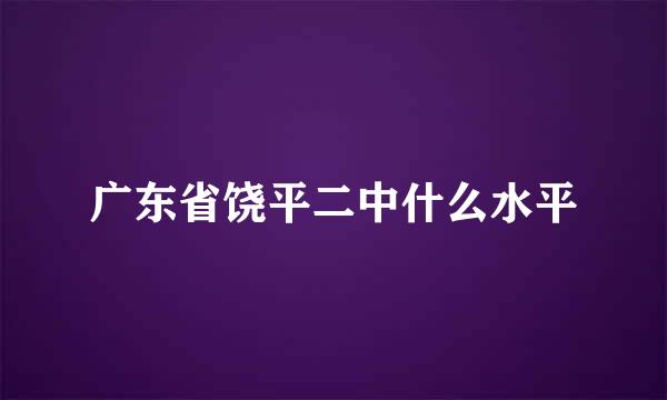 广东省饶平二中什么水平