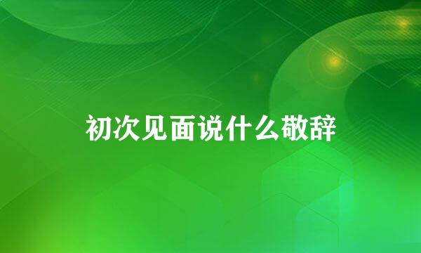 初次见面说什么敬辞