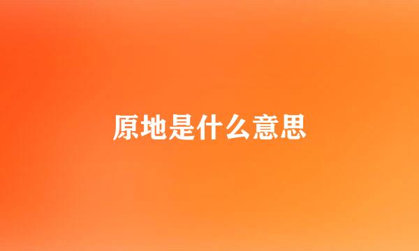 原地是什么意思