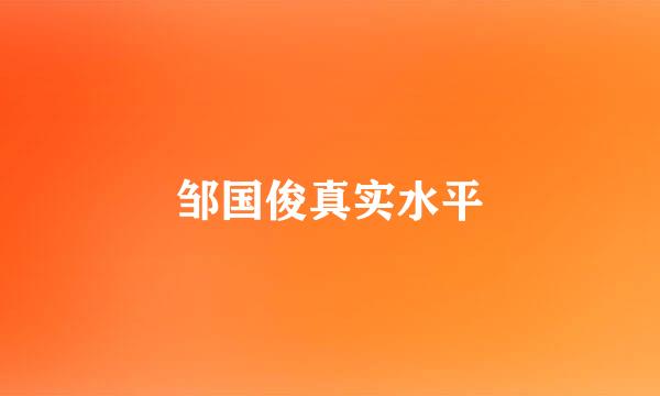 邹国俊真实水平