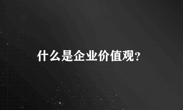 什么是企业价值观？