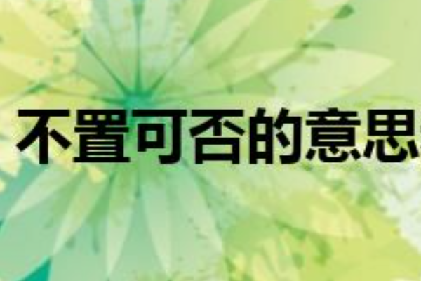 不置可否是什么意思解释一下