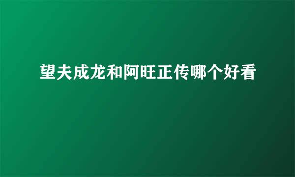 望夫成龙和阿旺正传哪个好看