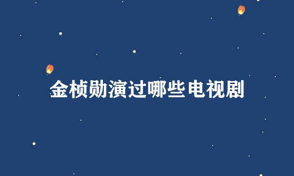 金桢勋演过哪些电视剧