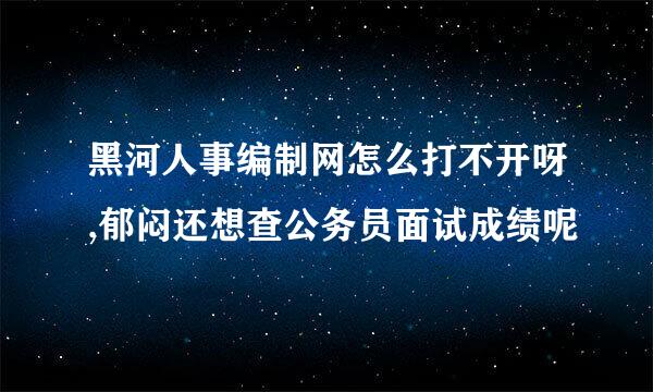 黑河人事编制网怎么打不开呀,郁闷还想查公务员面试成绩呢