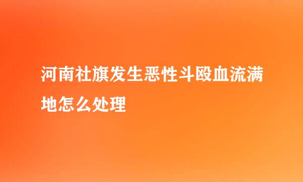 河南社旗发生恶性斗殴血流满地怎么处理