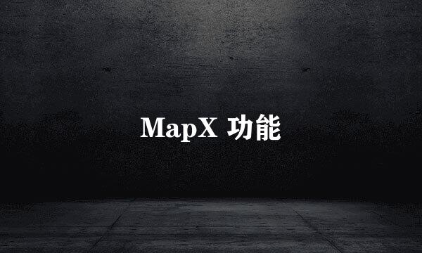 MapX 功能