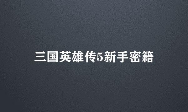 三国英雄传5新手密籍