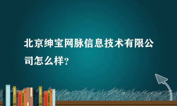 北京绅宝网脉信息技术有限公司怎么样？