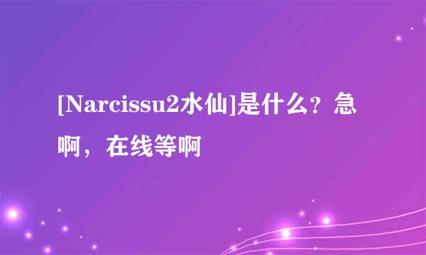 [Narcissu2水仙]是什么？急啊，在线等啊