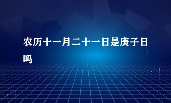 农历十一月二十一日是庚子日吗