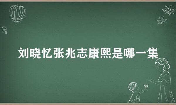 刘晓忆张兆志康熙是哪一集