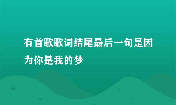 有首歌歌词结尾最后一句是因为你是我的梦