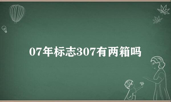 07年标志307有两箱吗