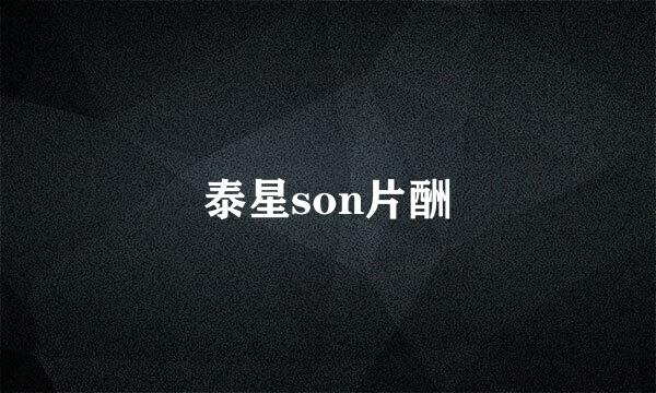 泰星son片酬