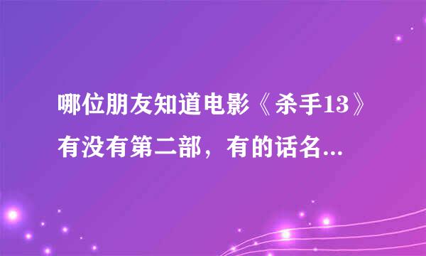 哪位朋友知道电影《杀手13》有没有第二部，有的话名字叫什么谢谢