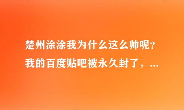 楚州涂涂我为什么这么帅呢？我的百度贴吧被永久封了，我该这么办呀？