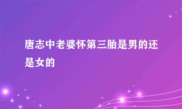 唐志中老婆怀第三胎是男的还是女的