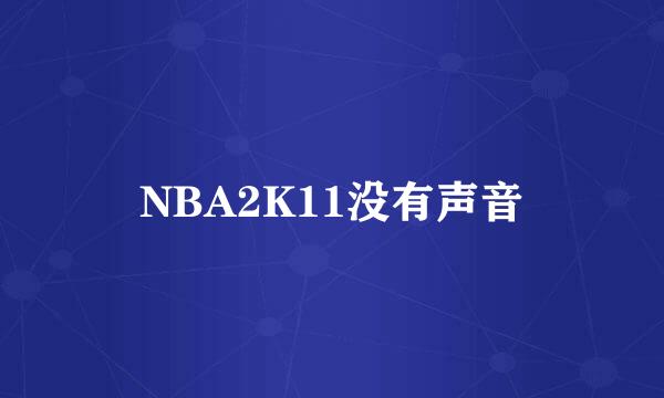 NBA2K11没有声音