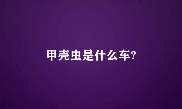 甲壳虫是什么车?