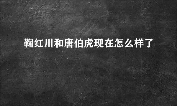 鞠红川和唐伯虎现在怎么样了