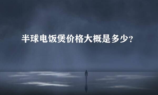 半球电饭煲价格大概是多少？