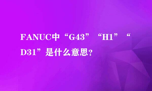 FANUC中“G43”“H1”“D31”是什么意思？