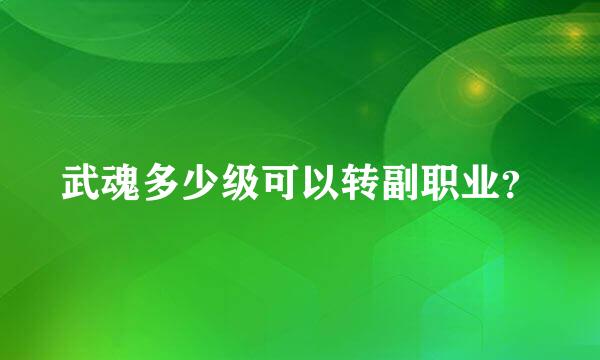 武魂多少级可以转副职业？