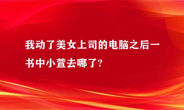 我动了美女上司的电脑之后一书中小萱去哪了?