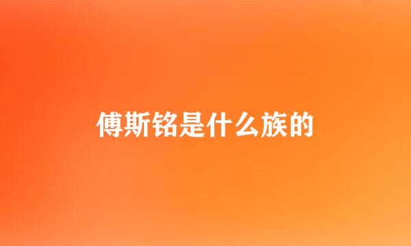 傅斯铭是什么族的