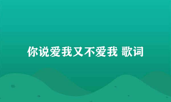 你说爱我又不爱我 歌词