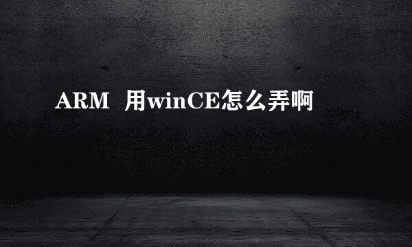 ARM  用winCE怎么弄啊