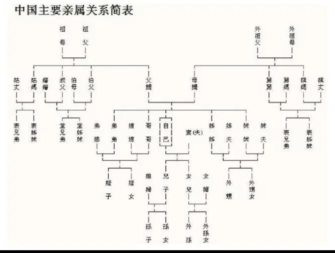 爸爸与女儿的关系填什么关系