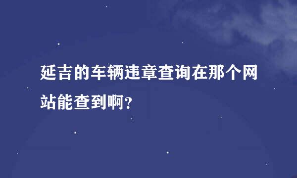 延吉的车辆违章查询在那个网站能查到啊？