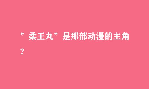 ”柔王丸”是那部动漫的主角？