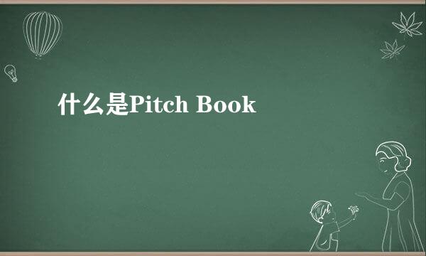 什么是Pitch Book