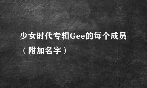 少女时代专辑Gee的每个成员（附加名字）